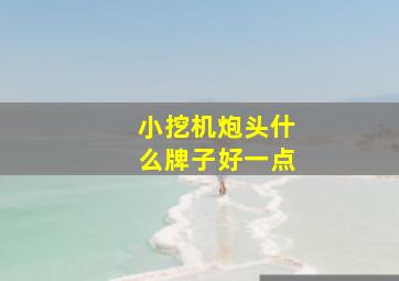 小挖机炮头什么牌子好一点