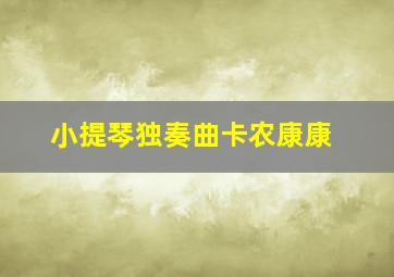 小提琴独奏曲卡农康康