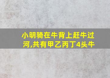 小明骑在牛背上赶牛过河,共有甲乙丙丁4头牛