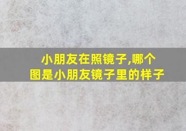 小朋友在照镜子,哪个图是小朋友镜子里的样子