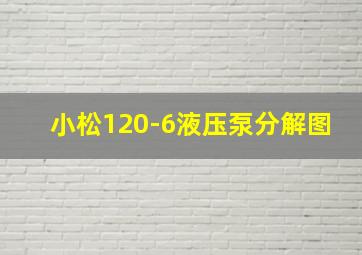 小松120-6液压泵分解图