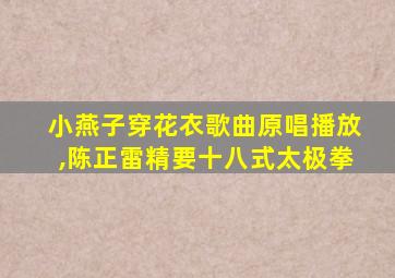 小燕子穿花衣歌曲原唱播放,陈正雷精要十八式太极拳