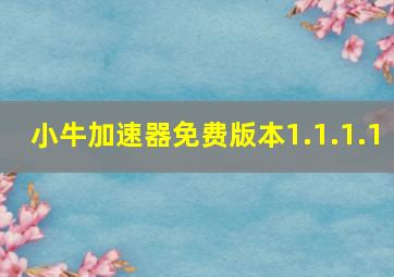 小牛加速器免费版本1.1.1.1