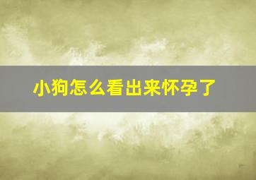 小狗怎么看出来怀孕了