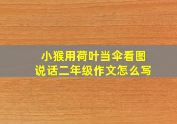 小猴用荷叶当伞看图说话二年级作文怎么写