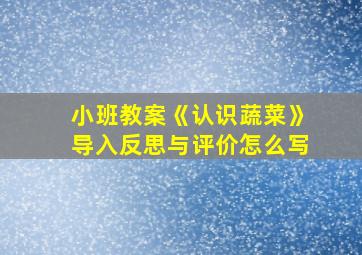 小班教案《认识蔬菜》导入反思与评价怎么写