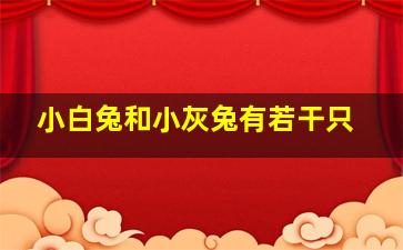 小白兔和小灰兔有若干只