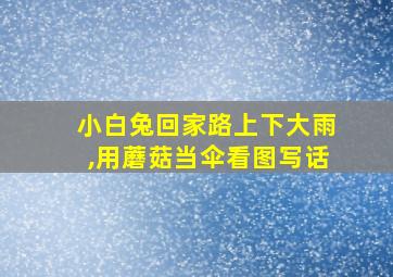 小白兔回家路上下大雨,用蘑菇当伞看图写话