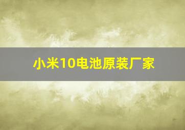 小米10电池原装厂家