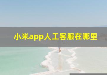 小米app人工客服在哪里