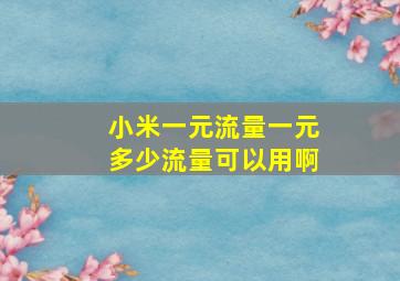 小米一元流量一元多少流量可以用啊