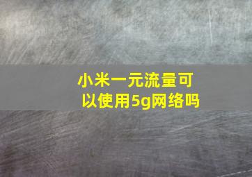 小米一元流量可以使用5g网络吗