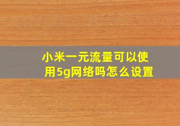 小米一元流量可以使用5g网络吗怎么设置