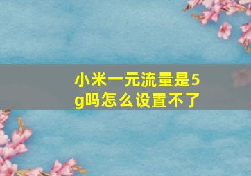 小米一元流量是5g吗怎么设置不了