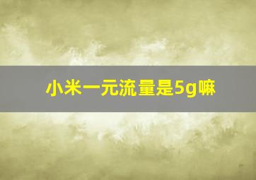 小米一元流量是5g嘛