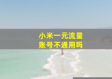 小米一元流量账号不通用吗