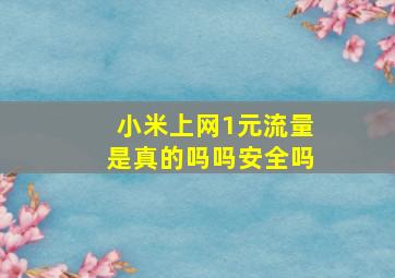 小米上网1元流量是真的吗吗安全吗