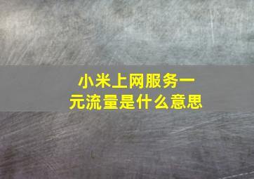 小米上网服务一元流量是什么意思