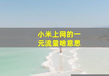 小米上网的一元流量啥意思