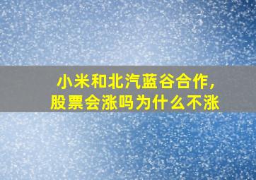 小米和北汽蓝谷合作,股票会涨吗为什么不涨