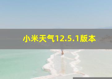 小米天气12.5.1版本