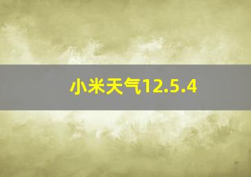 小米天气12.5.4