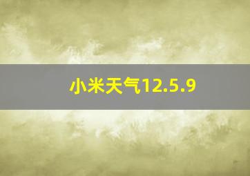 小米天气12.5.9