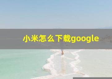 小米怎么下载google