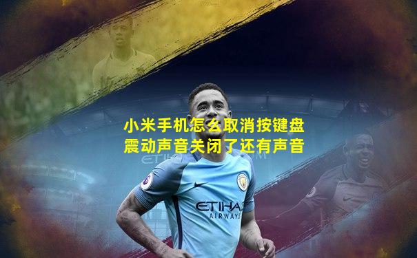 小米手机怎么取消按键盘震动声音关闭了还有声音