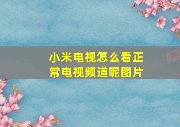 小米电视怎么看正常电视频道呢图片