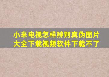 小米电视怎样辨别真伪图片大全下载视频软件下载不了