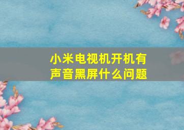 小米电视机开机有声音黑屏什么问题