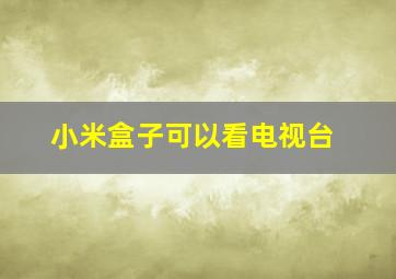 小米盒子可以看电视台