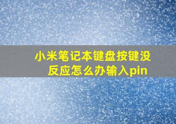 小米笔记本键盘按键没反应怎么办输入pin