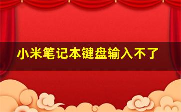 小米笔记本键盘输入不了