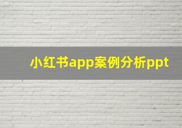 小红书app案例分析ppt