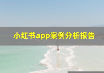 小红书app案例分析报告