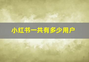 小红书一共有多少用户