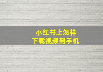 小红书上怎样下载视频到手机