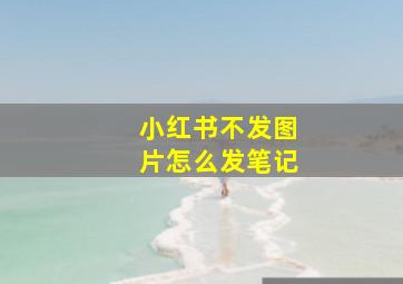 小红书不发图片怎么发笔记