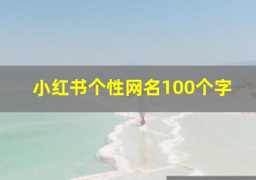 小红书个性网名100个字