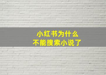 小红书为什么不能搜索小说了