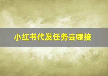 小红书代发任务去哪接