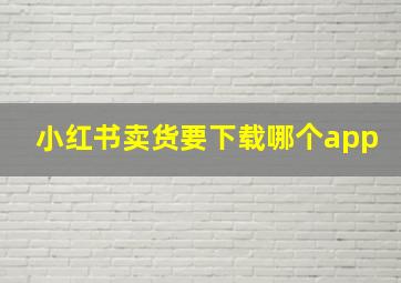 小红书卖货要下载哪个app