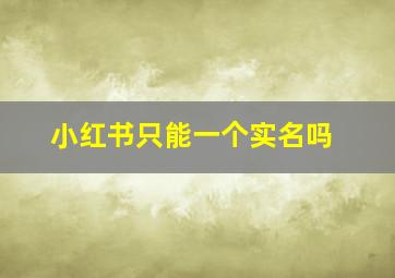 小红书只能一个实名吗