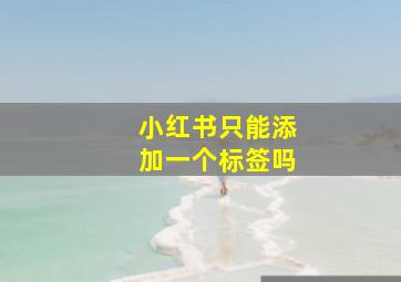 小红书只能添加一个标签吗