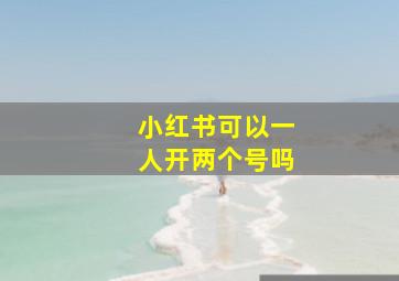 小红书可以一人开两个号吗