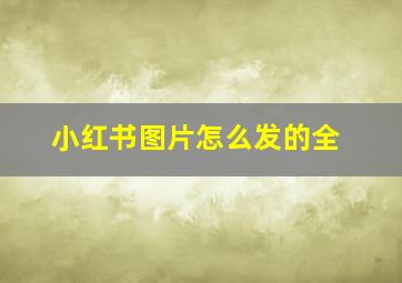 小红书图片怎么发的全