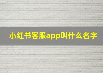 小红书客服app叫什么名字