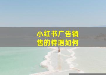 小红书广告销售的待遇如何